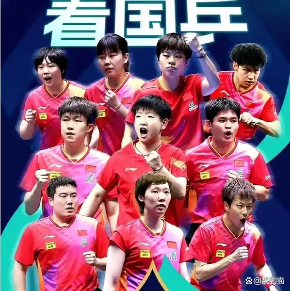全流程赛事陪伴, 观赛有据可依